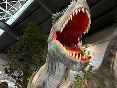 -湖南省地质博物馆