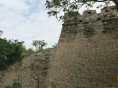 -保定市动物园