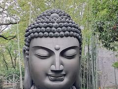 -杭州植物园