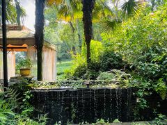 -野蔓果·山野菜(西湖景区·龙井茶田店)