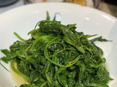 清炒豌豆尖-新川办餐厅