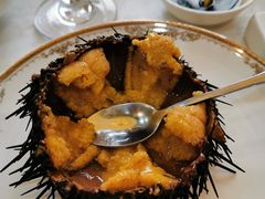 活海胆-丽园海鲜饭店(东关街店)