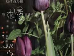-本溪路花鸟市场(江浦路1709弄小区店)