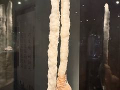 -中华赏石园