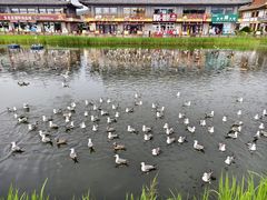 -珲春防川景区