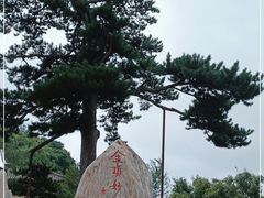 -妙峰山风景名胜区