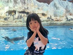 -帝企鹅自助餐厅•儿童岛•真企鹅(长隆企鹅酒店)