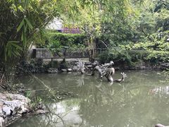 -汇龙潭