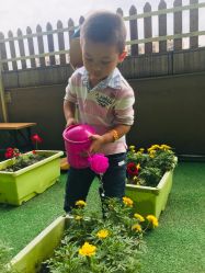 -可可天空农场(中大店)