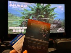 -奥斯卡升龙国际影城(RealD Cinema)