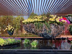 -海心沙亚运公园