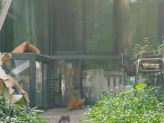 -凤凰御元艺术基地