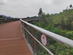 -香山湖公园
