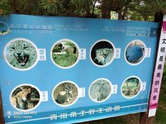 -青藏高原野生动物园