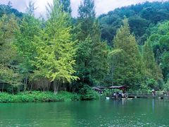 -桂林古东瀑布景区