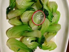 -上饍·中国厨房(建发JFC品尚中心店)