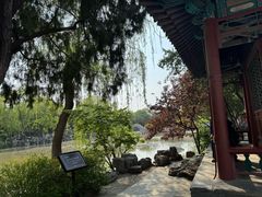 -莲池书院博物馆