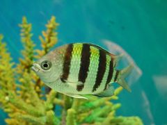 -海合安武汉极地海洋公园