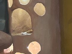 -猫猫幼稚园·撸猫·桌游·电玩