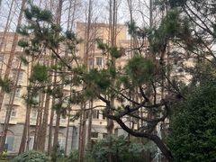 -上海虹桥迎宾馆