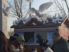 -天津妈祖文化园