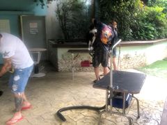 -汪说喵讲宠物乐园宠物酒店(红星美凯龙店)