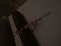 -Sakura·美颜社·日式私汤SPA