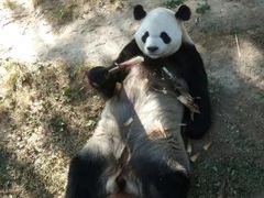 -石家庄市动物园