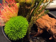 -海立阁海鲜江浙菜(漕河泾印象城店)