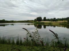 -东郊湿地公园