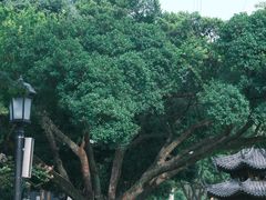 -墨池公园