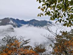 -塔云山