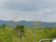 -陶祖圣境风景区