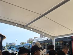 -养马岛旅游度假区
