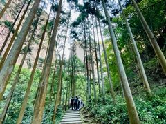 -雁荡山风景名胜区
