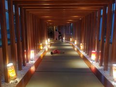 -重庆南山海昌汤都