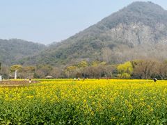 -八卦田遗址公园