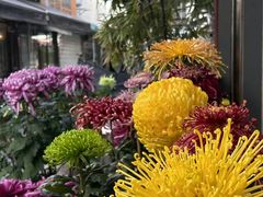 -荣阳楼(山塘街店)
