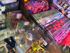 -双季花艺园艺市场(浦东店)