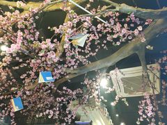 -风波庄(罍街分舵)