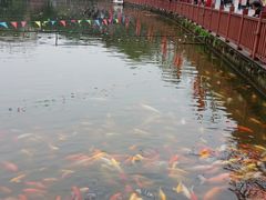 -北湖公园