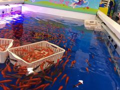 -万达广场(惠州大亚湾店)