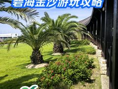 -碧海金沙