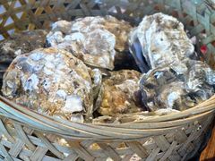 -蚝堡海鲜·威海菜·海肠捞饭·烧烤·亚洲吃蚝公司(幸福门店)