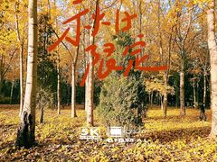 -森林公园(尖草坪区)