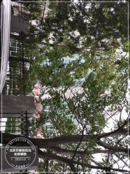 -北京市朝阳区妇幼保健院(南院区)