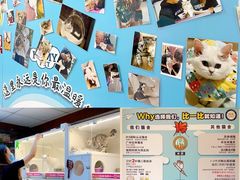 -lincat·猫舍(广州店)