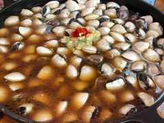 -顺德哥卜卜贝(旗舰店)