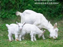 -厦门悦华酒店