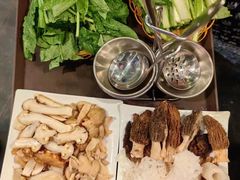 -蘑统田下·野生菌火锅